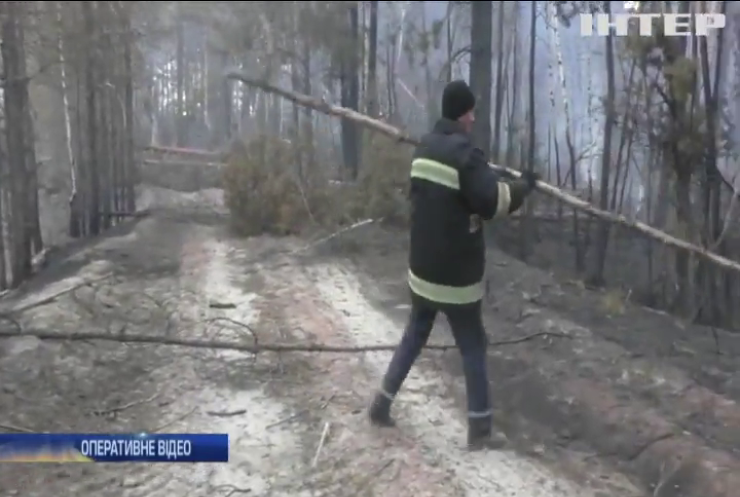Рятувальники борються з лісовим пожежами по всій Україні