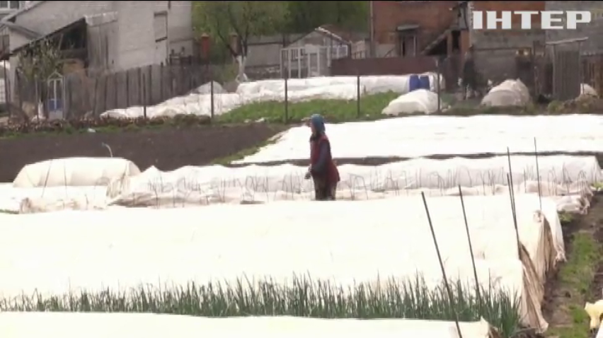 Продукти - на смітник: селяни Львівщини залишаються без засобів для існування