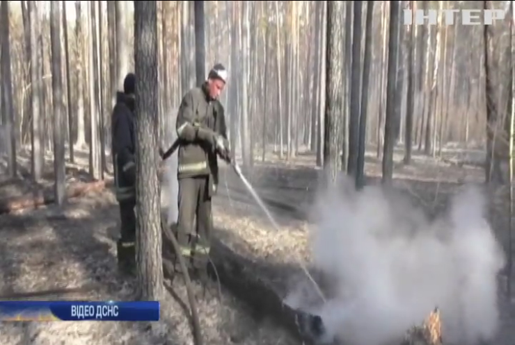 Лісові пожежі знищили п'ять відсотків Чорнобильського заповідника