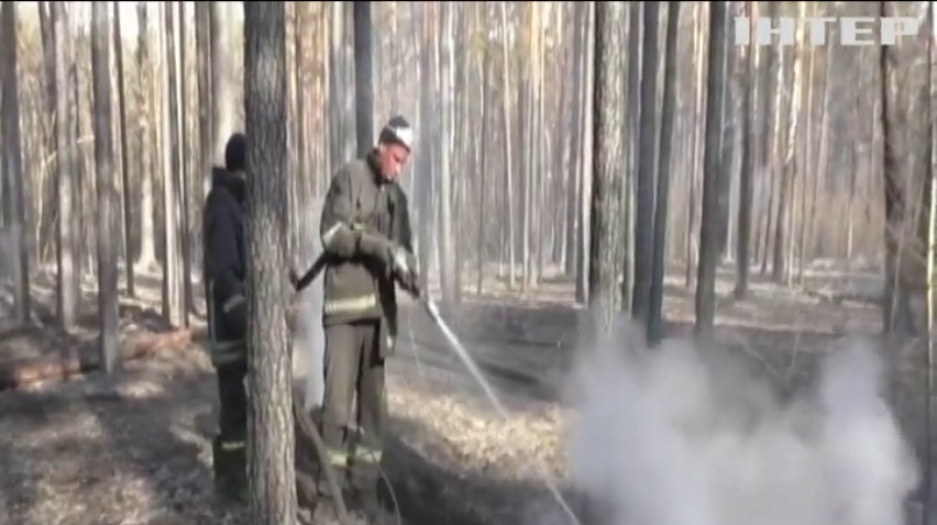 Лісові пожежі знищили п'ять відсотків Чорнобильського заповідника
