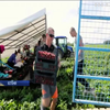 Естонські фермери просять пустити до країни українських заробітчан