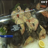 Ринки України завалило браконьєрською рибою