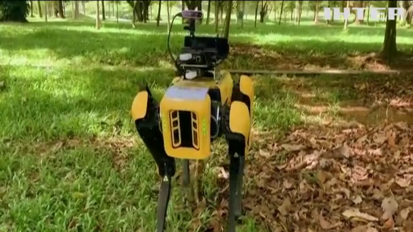 У Сінгапурі на боротьбу з COVID-19 вивели роботів