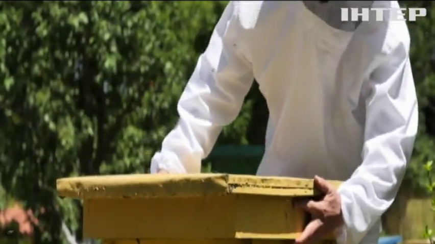 Албанці дякують коронавірусу за майбутній врожай меду