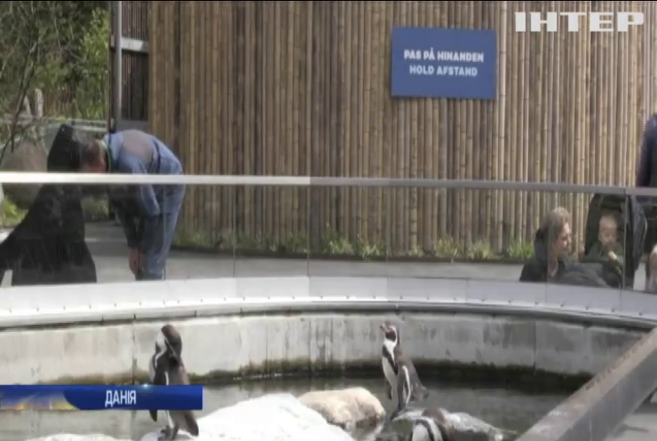 Зоопарк Копенгагена відкрився для відвідувачів