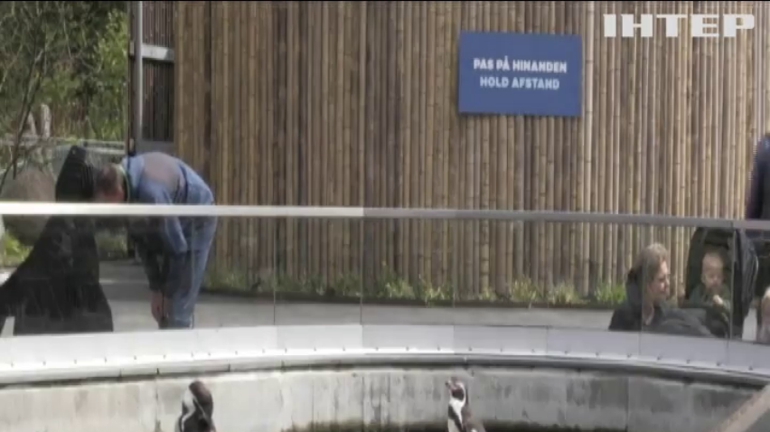 Зоопарк Копенгагена відкрився для відвідувачів