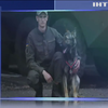 Собаку Нацгвардії нагородили за медаллю за службу у Слов'янську