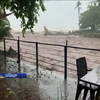 Сальвадор "знесло" тропічним штормом