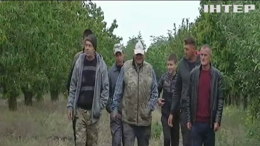 Урожай черешень та персиків в Україні опинились під загрозою