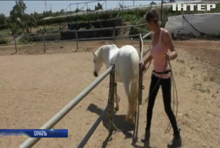Українка відкрила у Ізраїлі притулок для коней