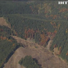 В Україні розпочинають підрахунок лісів