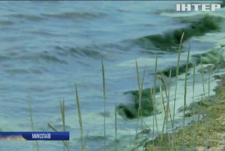 Чому жителі Миколаївщини бояться купатися у тамтешніх водоймах