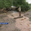 Негода на Прикарпатті: Володимир Зеленський відвідав затоплений Ланчин