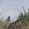 Біля Новотошківського бойовики вели вогонь з мінометів