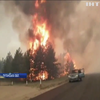 Пожежу на Луганщині ліквідували