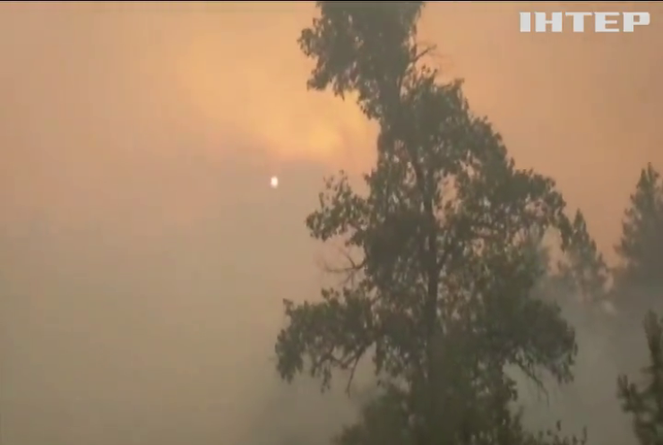 На Луганщині ліквідували лісову пожежу