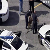 У штаті Флорида поліція затримала кенгуру