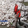 На Закарпатті річка Боржава потерпає від тонн сміття