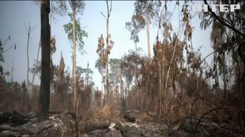 Пожежі в Амазонії: від Бразилії вимагають активніше рятувати ліси