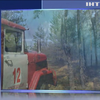 Поблизу Станиці Луганської у лісовій пожежі вибухнув невідомий пристрій