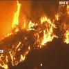У Каліфорнії не вщухають масштабні лісові пожежі