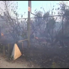Поблизу Катеринівки армійці та рятувальники гасили пожежі 