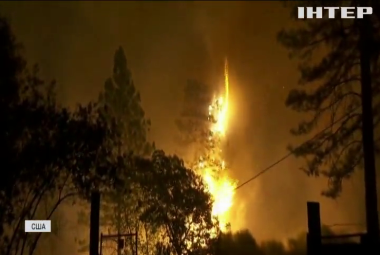 США випалює лісовими пожежами: 23 людини загинули