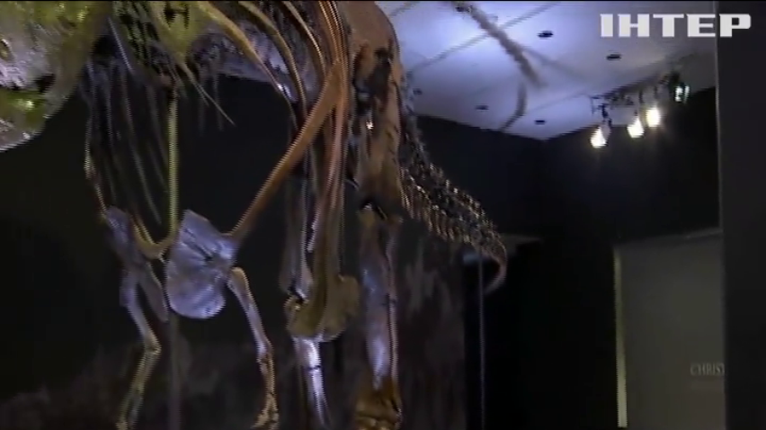 Скелет тиранозавра виставили на аукціон