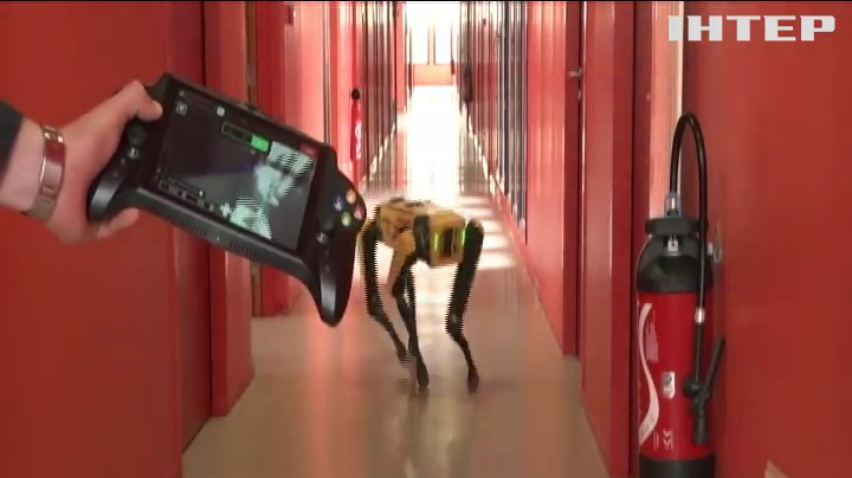 Собака-робот допомагатиме людям прокладати тунелі в горах