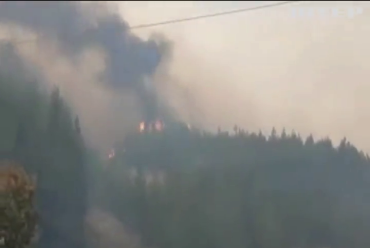 На Луганщині триває гасіння лісової пожежі