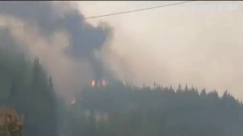 На Луганщині триває гасіння лісової пожежі