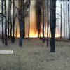 На Луганщині знову спалахнули масштабні пожежі