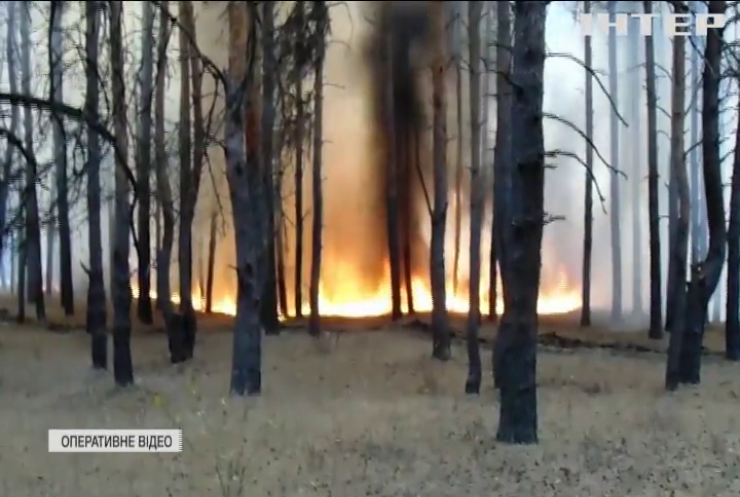 На Луганщині знову спалахнули масштабні пожежі