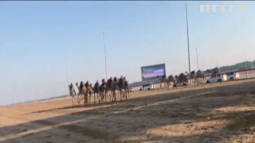 У Дубаї поновилися перегони верблюдів