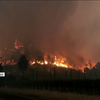 У Каліфорнії палає півтора мільйона гектарів лісів