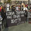 Міжнародний День тварин: київські зоозахисники вийшли на екоакцію