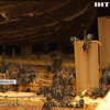 Клімат знищив врожай меду в Україні