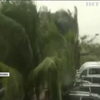 На Мексику налетів потужний ураган: вітер валив дерева й руйнував будинки