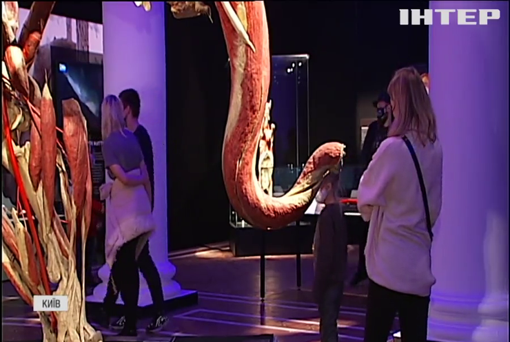 Анатомічне сафарі: у Києві відкрилася резонансна виставка бальзамованих тварин Ґунтера фон Гаґенса