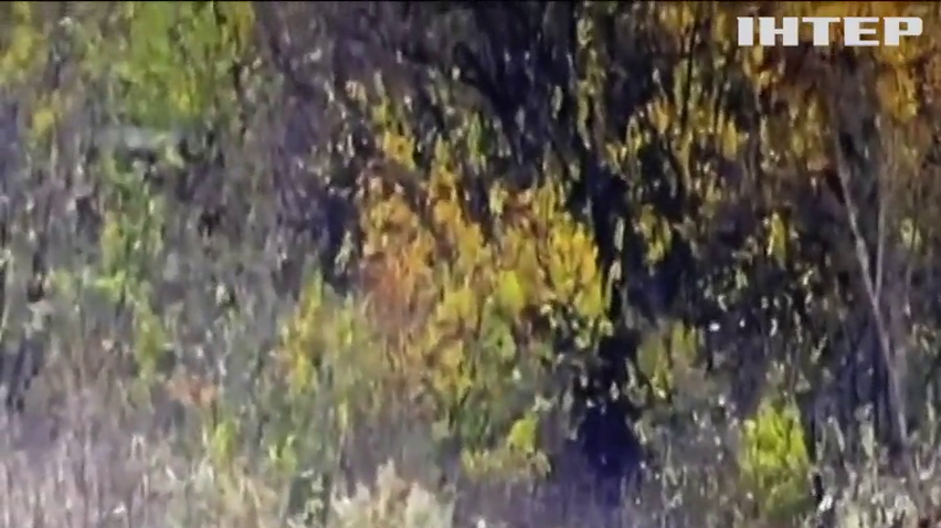 Біля Шумів збили ворожий безпілотник