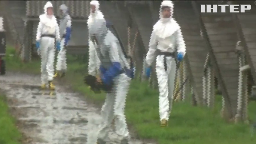 Новий штам COVID-19: у Данії на норкових фермах масово знищують тхорів