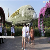 У Дубаї новий сезон відкрив найбільший парк квітів