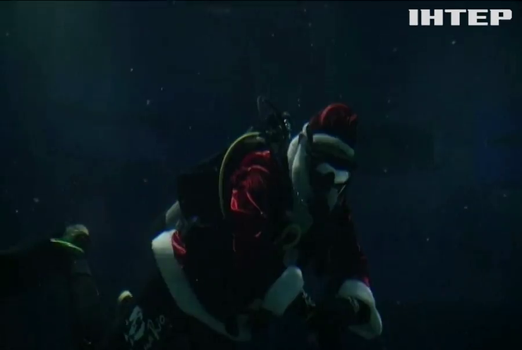 Санта-Клаус поплавав з акулами