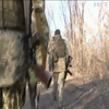 На Донбасі підтвердили полон українського військового