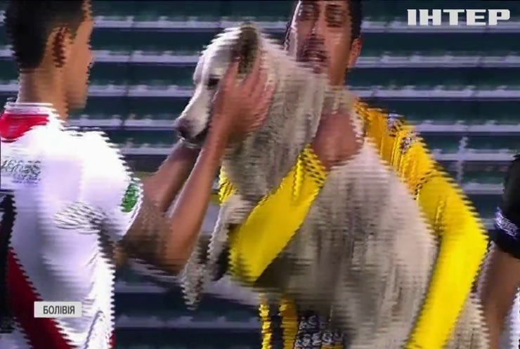 У Болівії пес зупинив футбольний матч