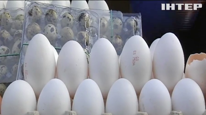 Золоті яйця: чому ціна на популярний продукт летить вгору?