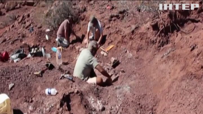 В Аргентині досліджують кістки гігантського динозавра