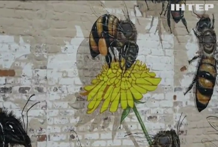 Американський художник мистецтвом рятує бджіл від вимирання