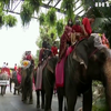 У Таїланді влаштували масове весілля на слонах
