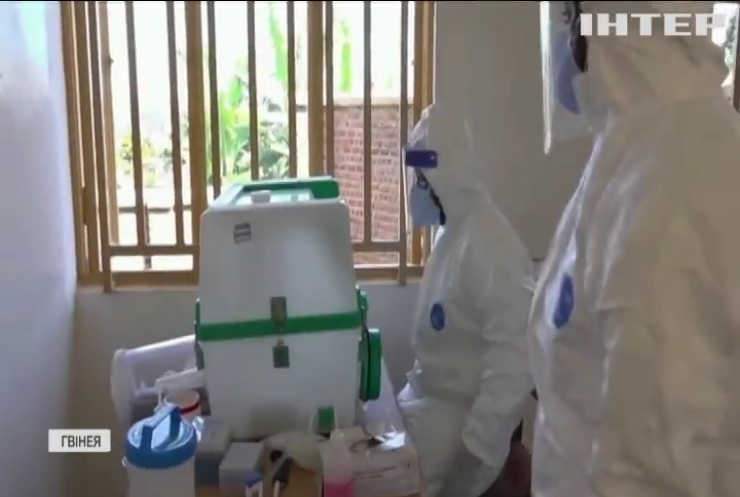 Гвінея заявила про епідемію Еболи: семеро людей загинули